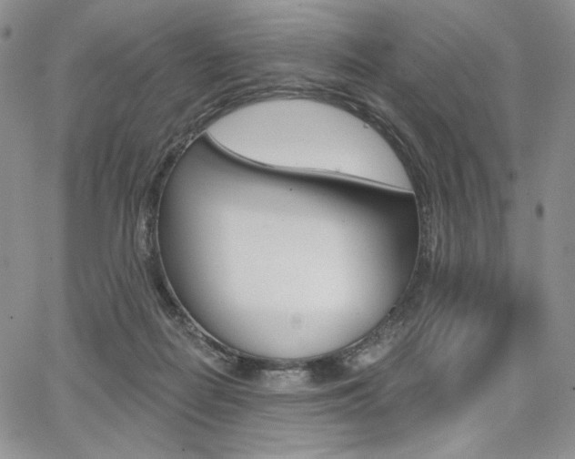 X0000068280266200604210923