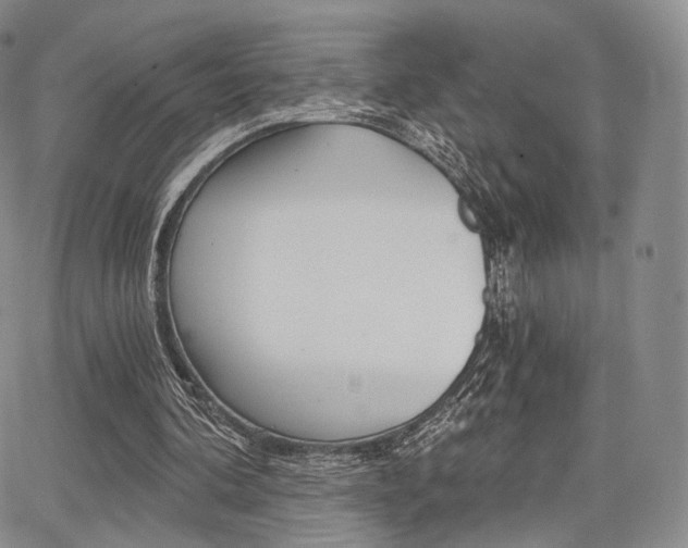 X0000068280292200604210923