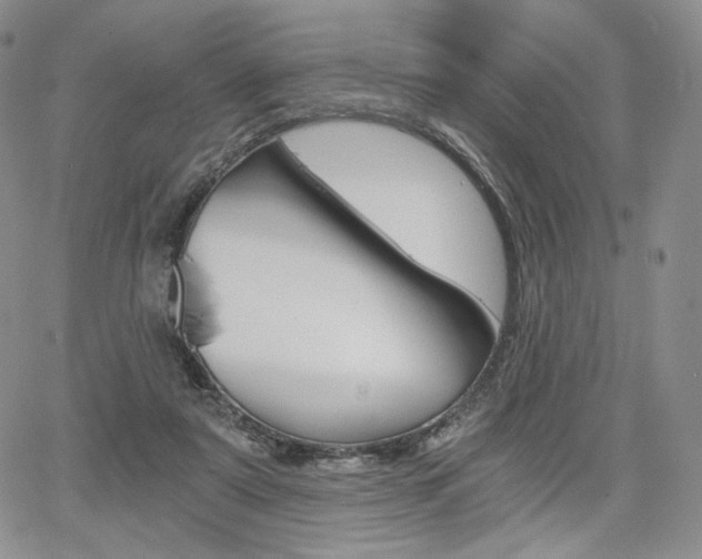 X0000068280307200604210923