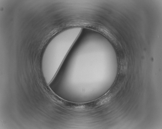 X0000068280309200604210923