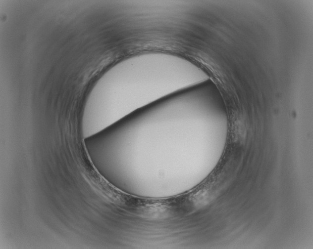 X0000068280310200604210922