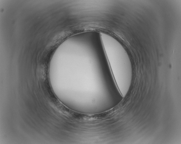 X0000068280311200604210922