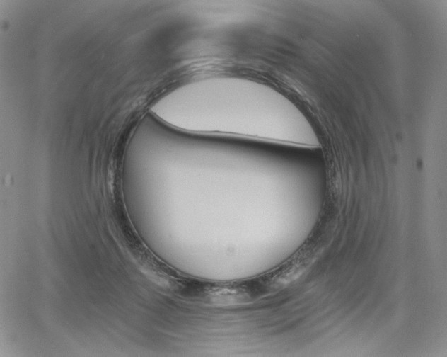 X0000068280315200604210922