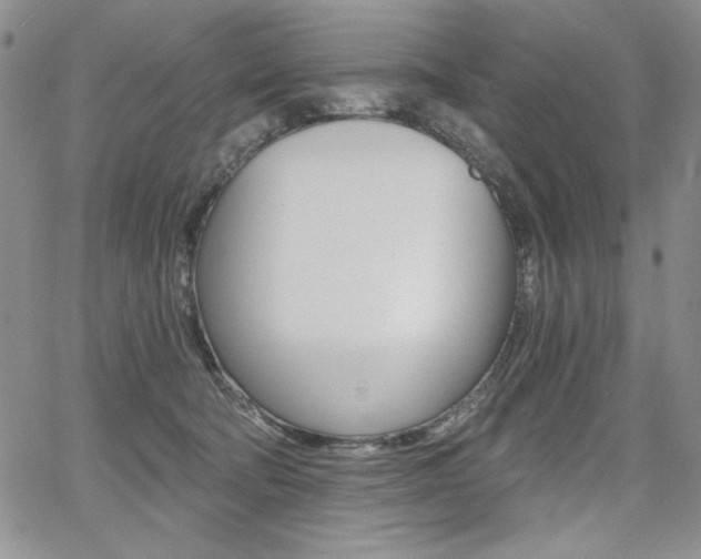 X0000068280322200604210922