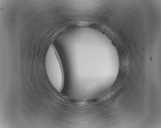 X0000068280325200604210922