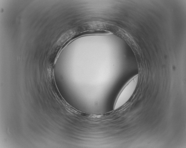 X0000068280333200604210922