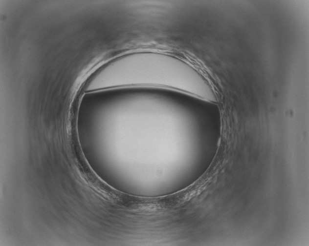 X0000068280344200604210921