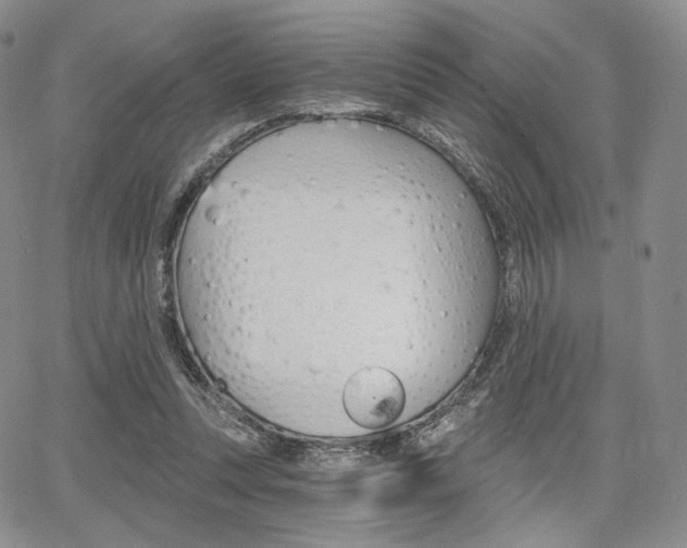 X0000068280351200604210922
