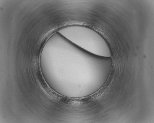 X0000068280352200604210922
