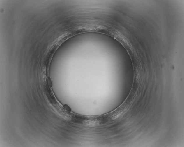 X0000068280356200604210922