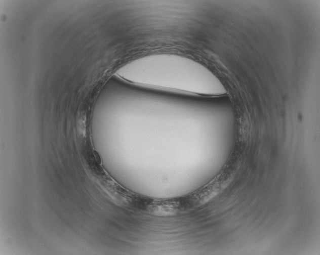 X0000068280368200604210922