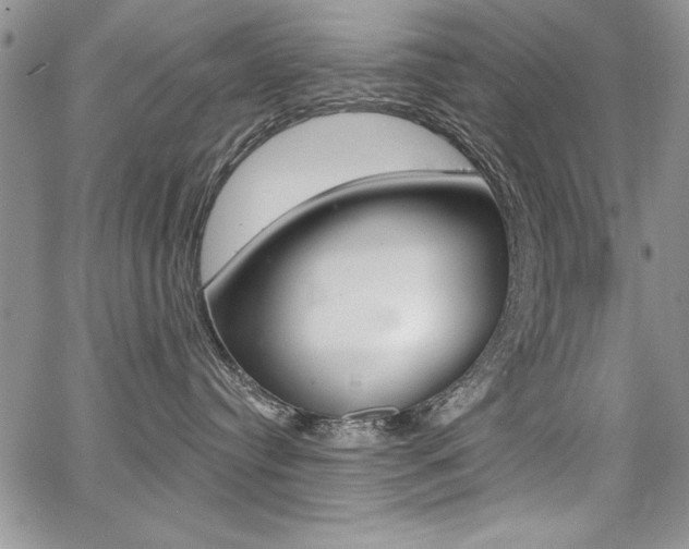 X0000068280384200604210922