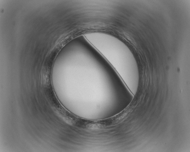X0000068280408200604210921