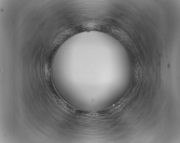 X0000068280420200604210921