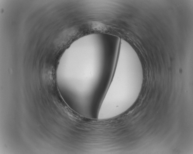 X0000068280424200604210921