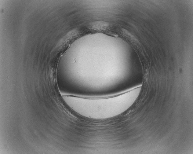 X0000068280428200604210921