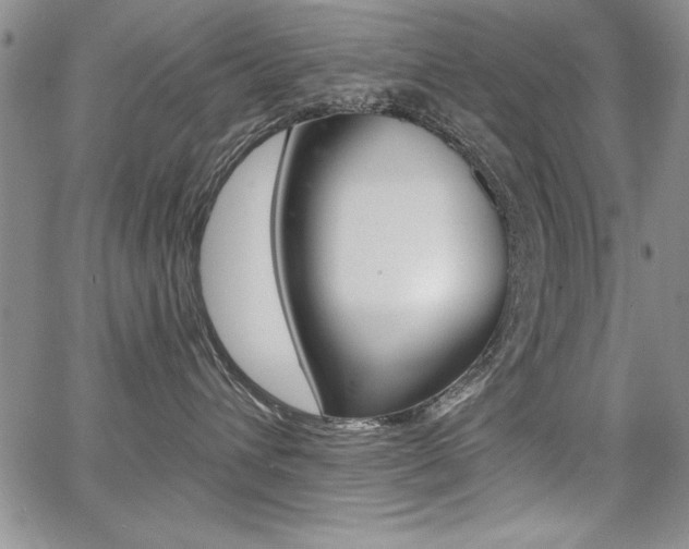 X0000068280432200604210921