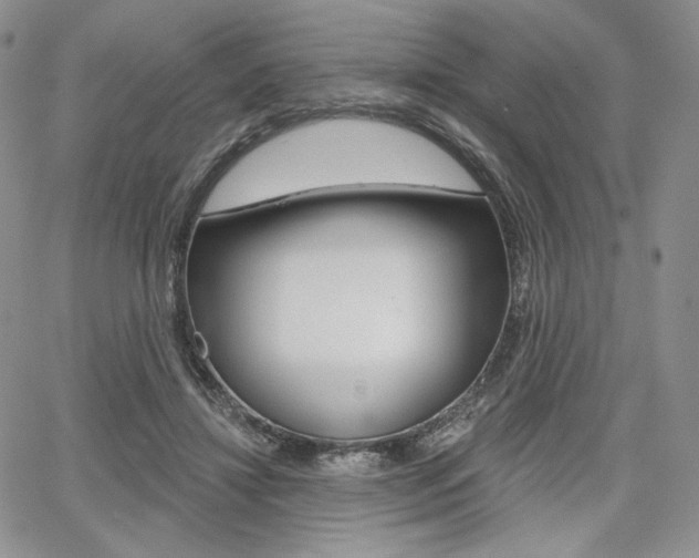 X0000068280452200604210920