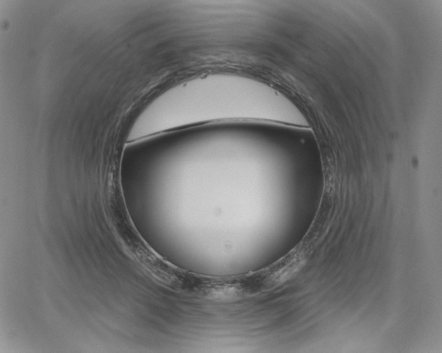 X0000068280456200604210920