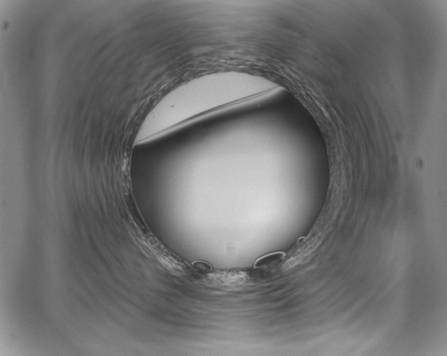 X0000068280480200604210920