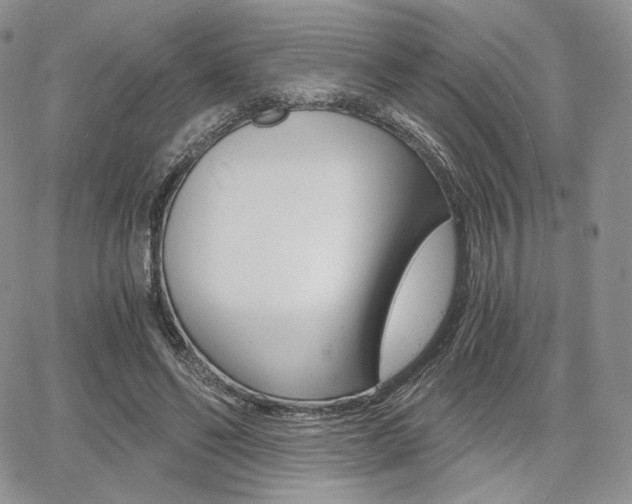 X0000068280494200604210919