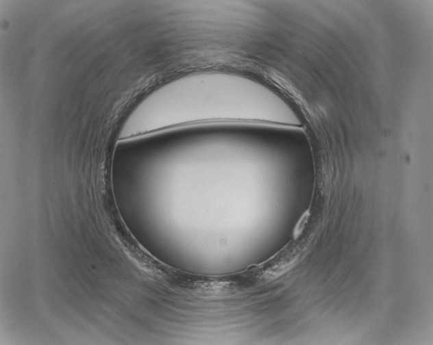 X0000068280497200604210919