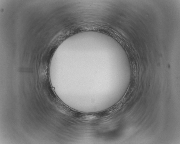 X0000068280507200604210919