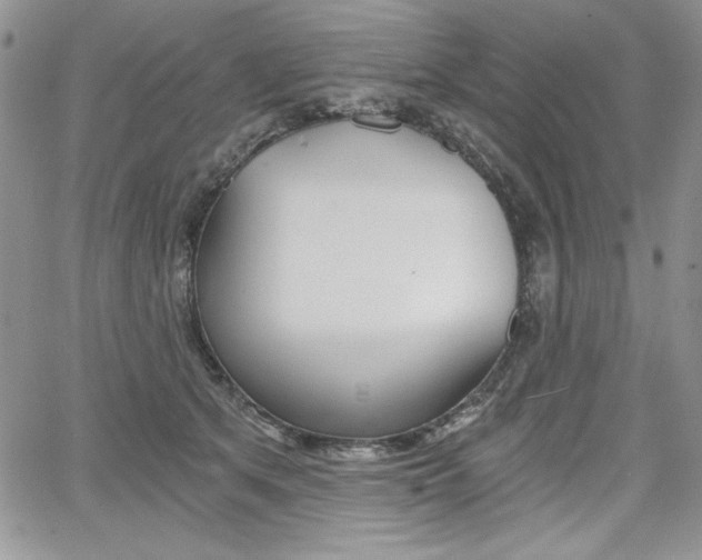 X0000068280513200604210919