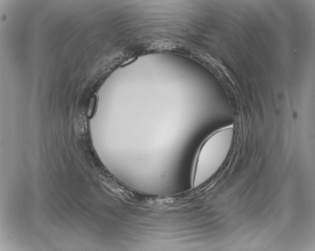X0000068280517200604210919