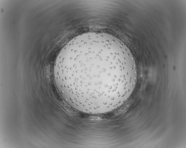 X0000068280519200604210919