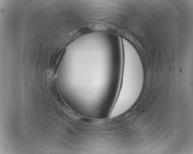 X0000068280521200604210919