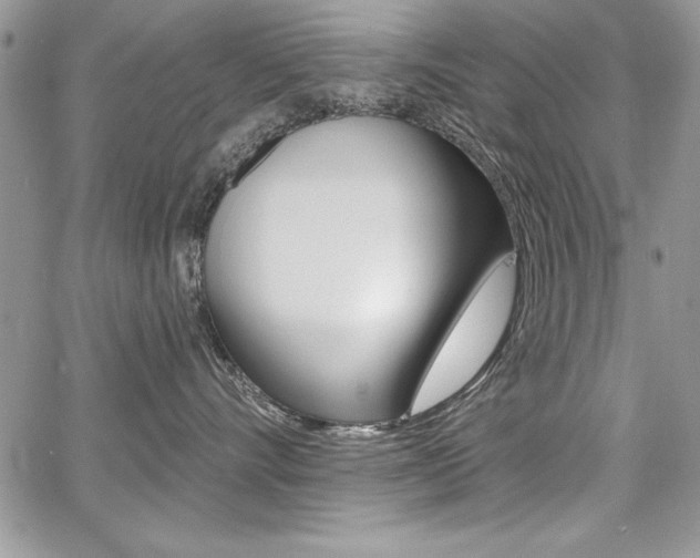 X0000068280528200604210919