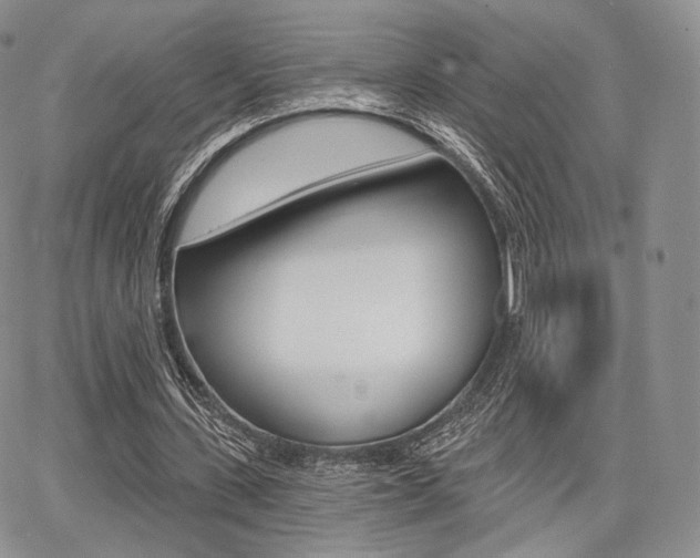 X0000068280531200604210918