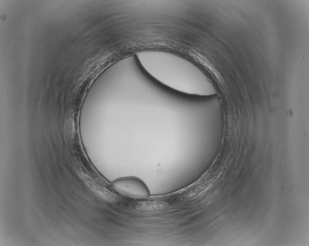 X0000068280541200604210918
