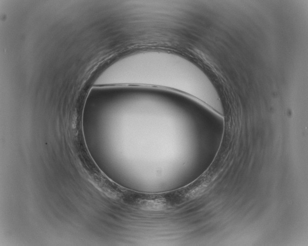 X0000068280548200604210918