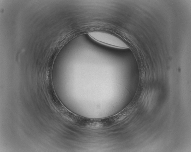 X0000068280551200604210919