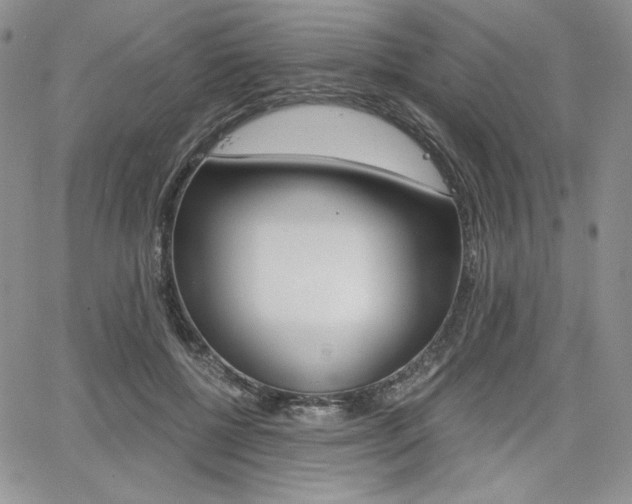 X0000068280552200604210919