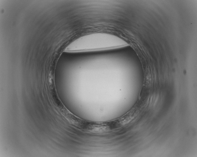 X0000068280555200604210919