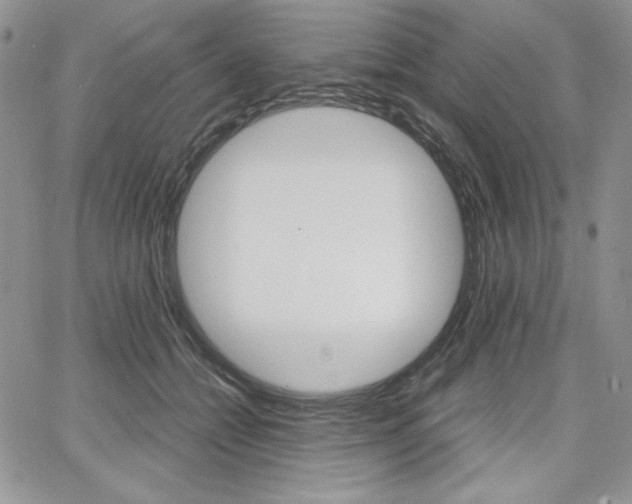 X0000068280558200604210919