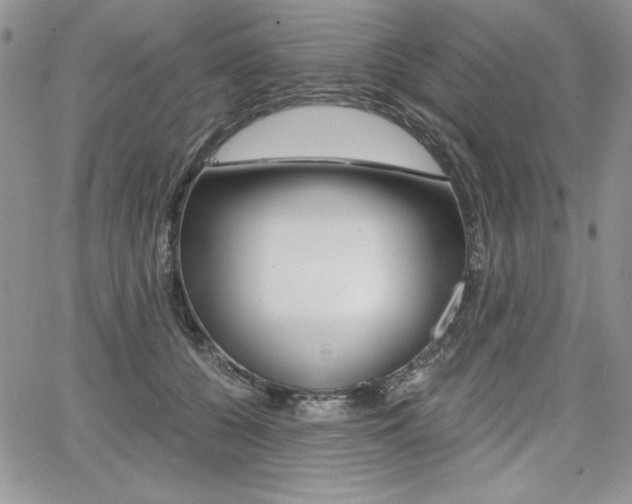 X0000068280560200604210919