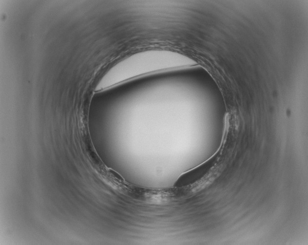 X0000068280564200604210919