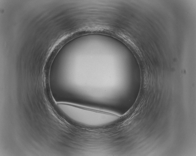X0000068280584200604210918