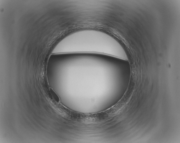 X0000068280593200604210918