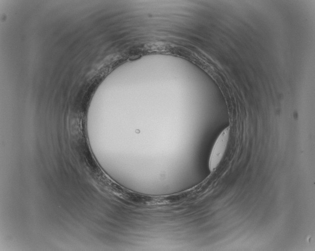 X0000068280603200604210918