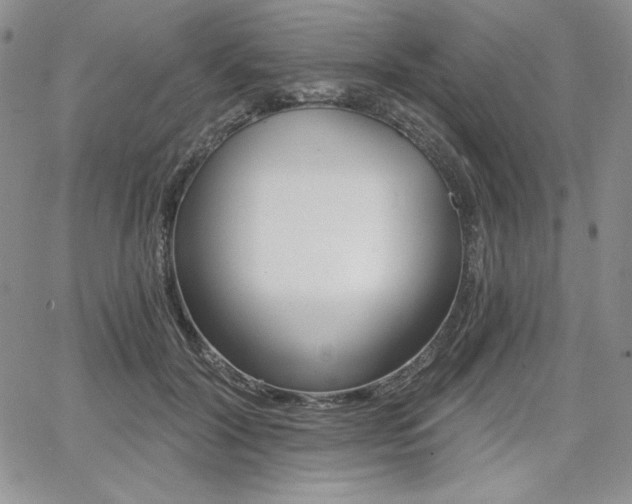 X0000068280604200604210918