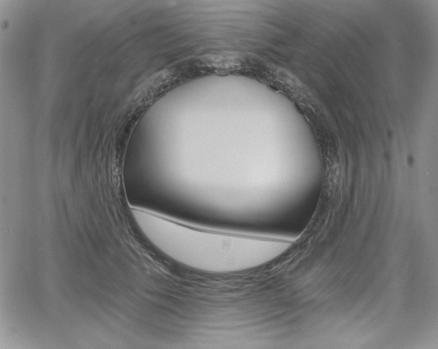 X0000068280609200604210918