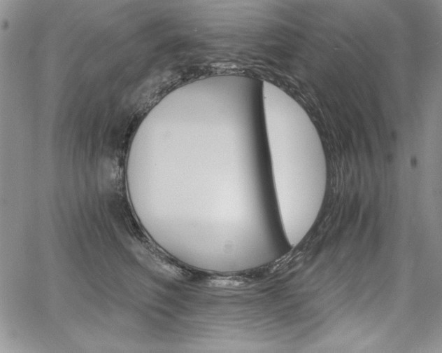 X0000068280614200604210918