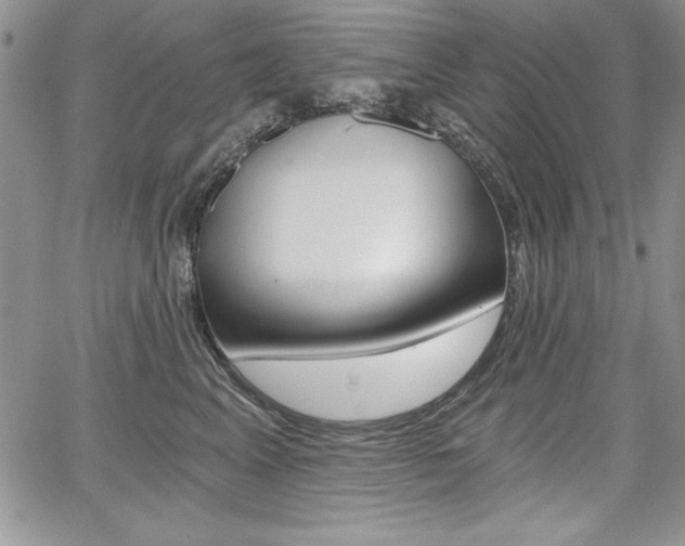 X0000068280617200604210917