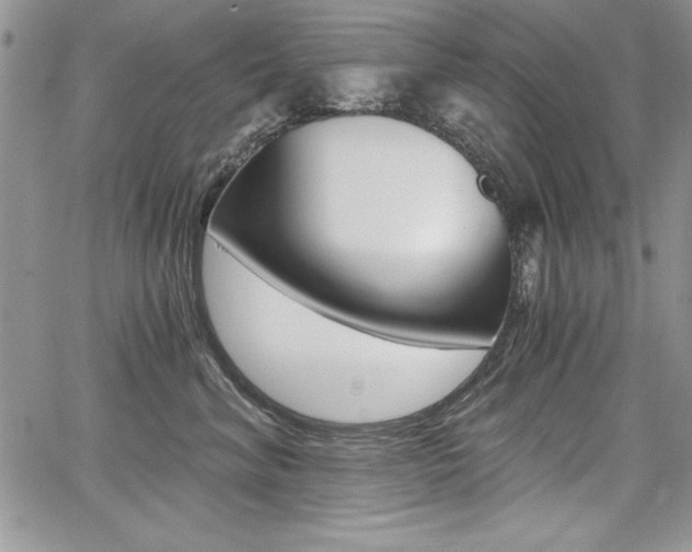 X0000068280620200604210917