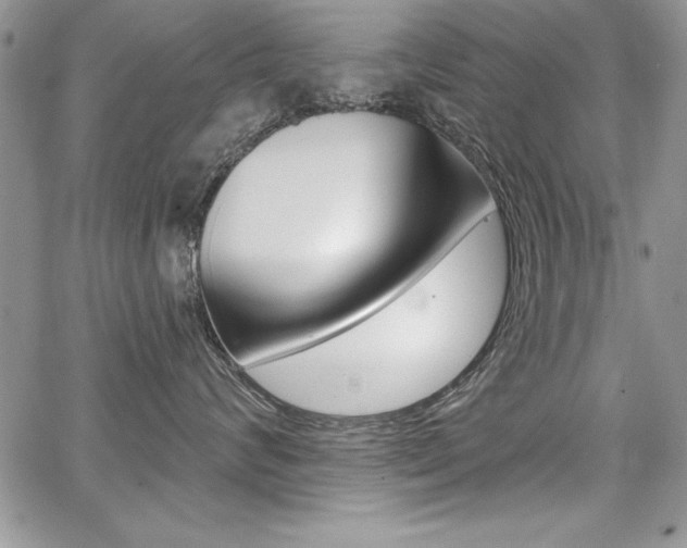 X0000068280624200604210917